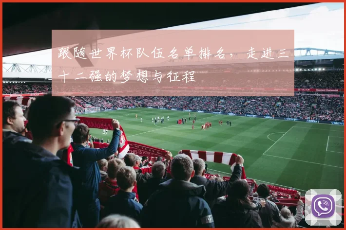 跟随世界杯队伍名单排名，走进三十二强的梦想与征程