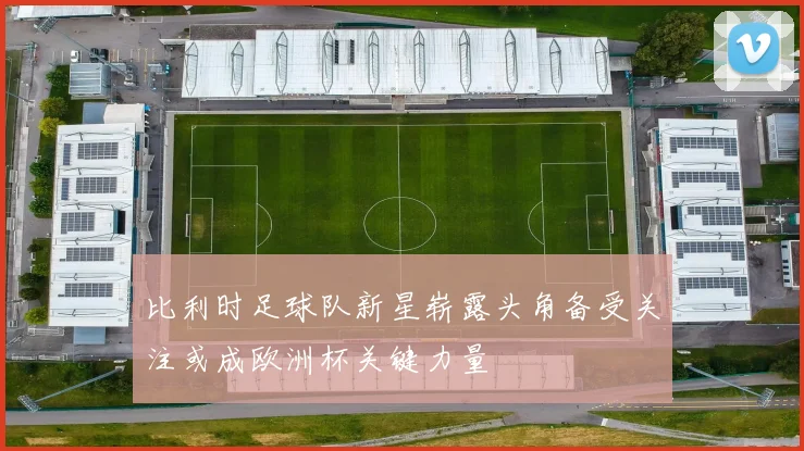 比利时足球队新星崭露头角备受关注或成欧洲杯关键力量