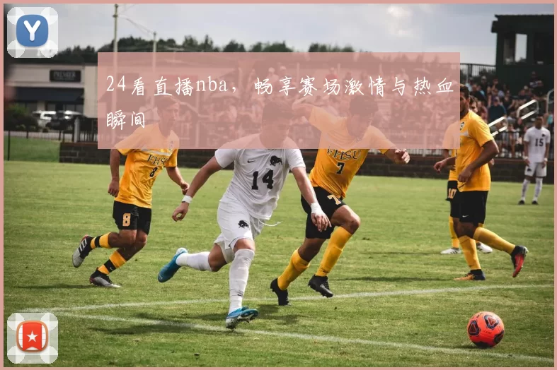 24看直播nba，畅享赛场激情与热血瞬间