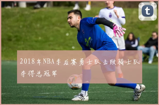 2018年NBA季后赛勇士队击败骑士队夺得总冠军