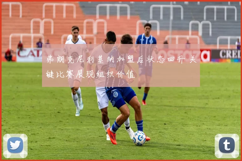 弗朗克尼利基纳加盟后状态回升 关键比赛展现组织价值