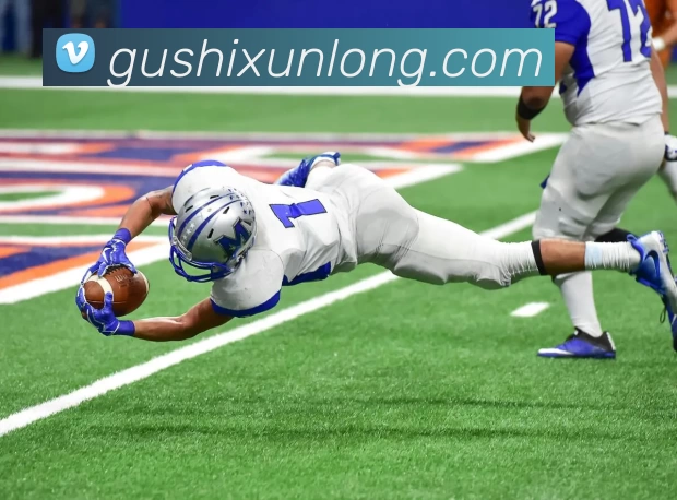 App Interface Preview