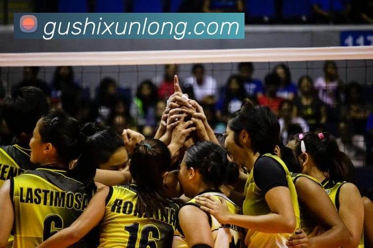 九游j9官方旗舰店APP 封面图